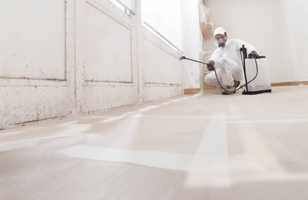 24/7 Emergency Attic Mold Remediation experts in Glen Ellyn, IL